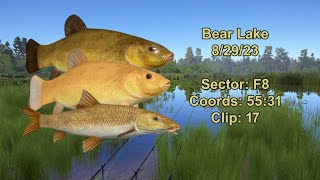 Russian Fishing 4 Bear Lake Active Gold Tench Spot 82923 [upl. by Schonthal]