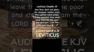 Harvest with Heart God’s Command to Care for the Poor Short shorts Leviticus bible [upl. by Rogerg]