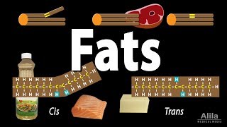 Unsaturated vs Saturated vs Trans Fats Animation [upl. by Lesig830]