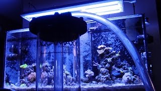 HOW TO SETUP UP AQUA MAXX BIO REACTOR BIO PELLET FAIL SALTWATER AQUARIUM CORAL REEF TANK UPDATE [upl. by Ruomyes]