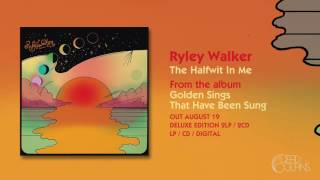 Ryley Walker  The Halfwit In Me Official Audio [upl. by Werdma]