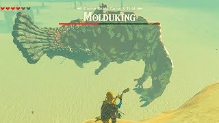 How to beat Molduking The Legend of Zelda BOTW  Fight the Brute of the Sand Molduking Boss [upl. by Aivatal]