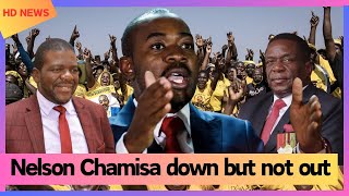 Nelson Chamisa down but not out [upl. by Nivlad]