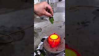 Color changing teapot add some color to your tea time teapots fypシ゚viral diy [upl. by Anais329]