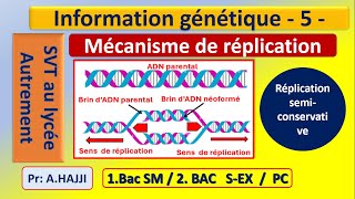 Réplication semiconservative de lADN réplication continue et discontinue  fragments dOKAZAKI [upl. by Arim]