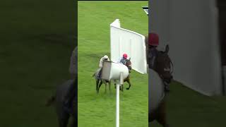 Special mention performance from Lossiemouth horse horseracing racingtv britishhorseracing [upl. by Aurelea426]