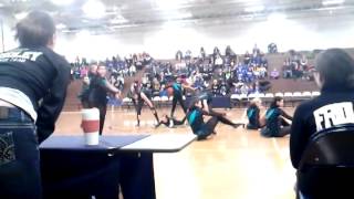 Fridley dance team 2014 Jazz [upl. by Tekcirk]