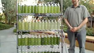 An Algae Bioreactor from Recycled Water Bottles [upl. by Glialentn23]