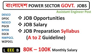 Power Sector Govt Job Opportunities amp Preparation Syllabus Guideline for Assistant Engineer EEE [upl. by Noral]