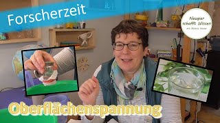 Wasseroberflächenspannung   einfache Experimente  für Zuhause  für Kinder  mit Wasser [upl. by Acihsay]