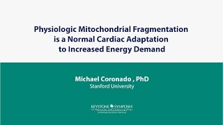 SciTalks Physiologic Mitochondrial Fragmentation [upl. by Nonnahs]