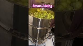 Easy way to make juice at home with a steam juicer [upl. by Duester286]