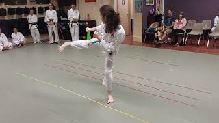 Green Belt Kihon and Kata 092224 [upl. by Digdirb]