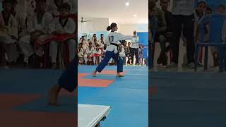 poomsae 13 sipjinTaekwondopoomsae [upl. by Nodnarbal502]