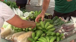 Ecofeira da UFMT oferece produtos agrícolas orgânicos [upl. by Shauna207]