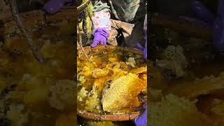 Natures Pure Honey Filtering Session beekeepinglife honeybee naturalhoney [upl. by Eidnarb]