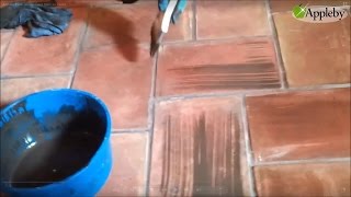 How To Faux Paint Mexican Pavers [upl. by Arabele649]