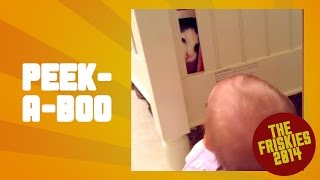 Cute Cat and Baby Play Peekaboo  The Friskies Awards 2014 [upl. by Faxen33]