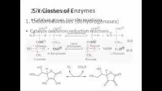 Biochemistry 94 Enzyme classification [upl. by Nyladam]