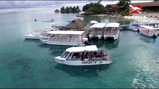 Shark TV  Diving in Moorea with Top Dive French Polynesia with Top Dive [upl. by Gaidano]