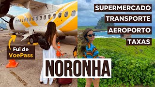 Fernando de Noronha  Primeiras impressões dicas importantes [upl. by Josiah187]