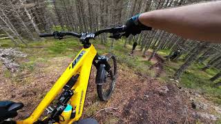 Exploring Aviemore  High Burnside Traills Aviemore  Nukeproof Megawatt  MTB Scotland [upl. by Alvie]