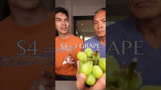 the worlds most expensive grapes🍇 [upl. by Wardlaw294]