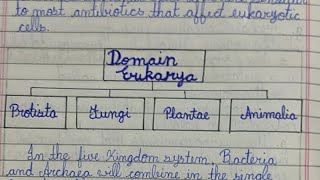 domain eukarya consists of 4 Kingdoms Kingdom Protista fungi plantae and animalia [upl. by Naitsirc]