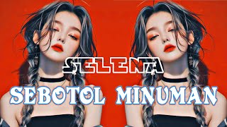 Gara Gara Sebotol Minuman Remix Bass Gempa  DJ Selena [upl. by Ramgad706]