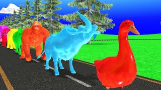 3D paint animal crossing fountain game with Hippo buffalo elephant Tiger and Gorilla cartoon [upl. by Aplihs]