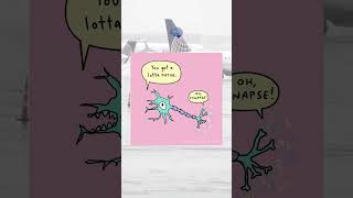 neuron doodle  Neurosciences Memes From Reddit shorts [upl. by Myrtice]