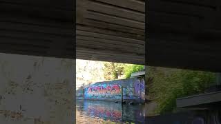 View under bridge from kayak [upl. by Dazhahs]