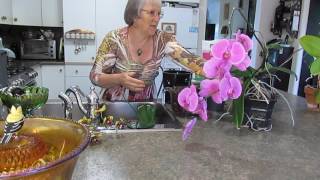 jacolyns orchids 5 repotting and watering [upl. by Oremodlab]