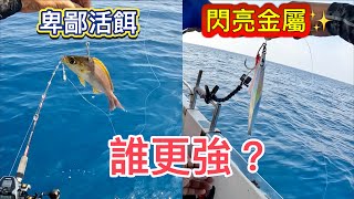 ［沈船海釣實測］鉤整尾活魚vs丟閃亮金屬鐵板登大物，誰更強？赫馬士 鐵板路亞 海鱱土魠紅甘 [upl. by Anneg]