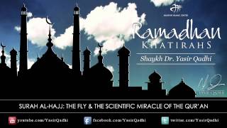 Ramadan Khatirah Surah AlĤajj  Miracle of the Fly in the Quran  Dr Yasir Qadhi  12th Aug 2011 [upl. by Primaveria808]