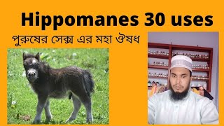 Hippomanes 30 200 uses in bengali  ginseng q homeopathic medicine uses [upl. by Eseela512]