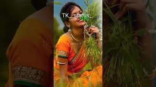 Paki gel dhan insta instaviral lyrics kharthastatus tkstatus4k trending khortha [upl. by Hugues]