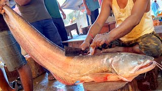 Amazing Fish In Bangladesh  Giant Wallago Attu Boal Fish Cutting Live In Fish Market [upl. by Livia]