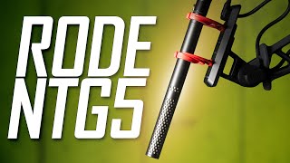 RODE NTG5 Shotgun Microphone Review  Compared to RODE NTG3 Sennheiser MKH416 DEITY SMic 2 [upl. by Llerot286]