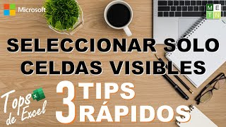 ⌨ 3 TIPS FÁCILES Y RÁPIDOS PARA SELECCIONAR SÓLO CELDAS VISIBLES  TOPS DE EXCEL 21 🏆 [upl. by Ecirtap755]