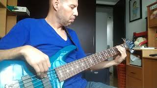 Zzoilo ampAitana  Mon Amour  Bass cover [upl. by Aneeuq749]