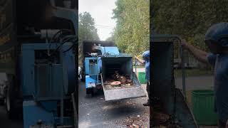 Birch Log VS 200hp Woodchipper [upl. by Akkimat868]