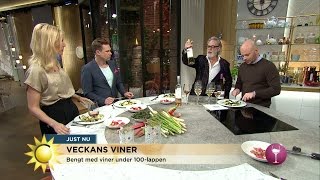 Veckans viner Viner under hundralappen  Nyhetsmorgon TV4 [upl. by Anastatius]