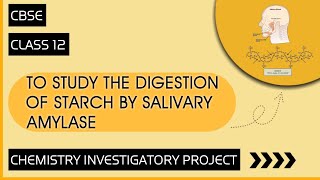 Chemistry Investigatory Project on To Study the Digestion of Starch by Salivary Amylase [upl. by Ramhaj780]