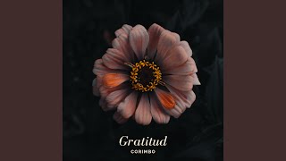 Gratitud [upl. by Martelli]