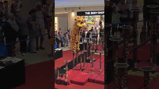 KL Kwong Ngai at 20th Malaysia National Lion Dance Championship 2024 on 7 Jun 2024 [upl. by Bussy]