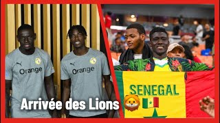 Arrivée des Lions 🦁 à Dakar [upl. by Dougal681]