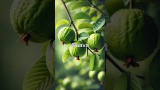 Fruit Benefit Which Fruits is your favourite healthtips health [upl. by Asiulana]