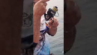 PESCARIA BAIA DE GUANABARA pescaria fishing pesca peixe shorysyoutube shorts dicas fish [upl. by Lapointe]