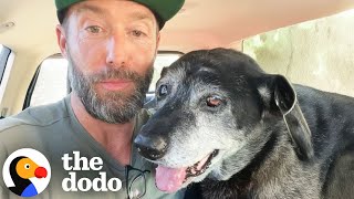 The Happiest Dog Rescue Stories  The Dodo [upl. by Margret]